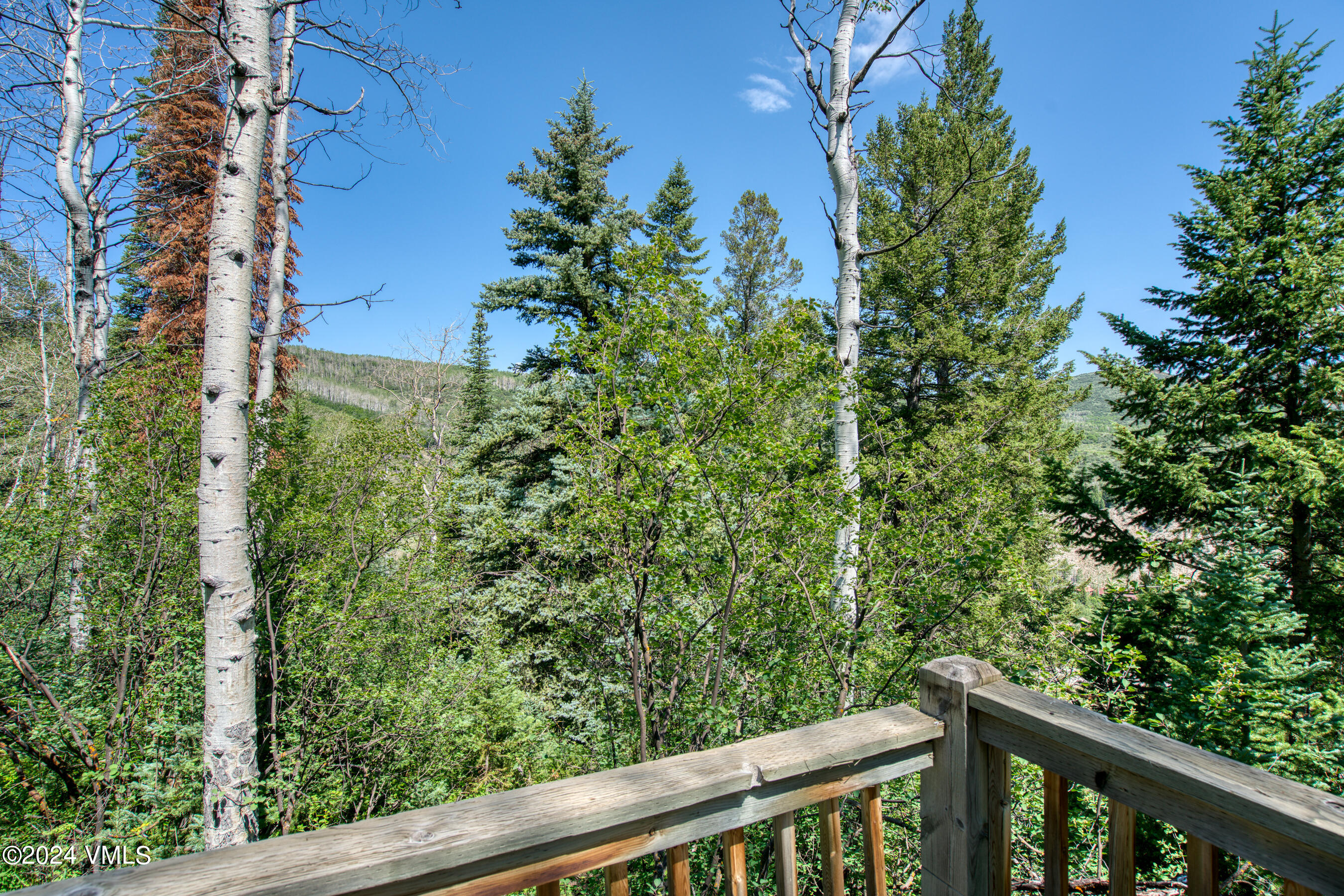 92 Sunquist Road Edwards, CO 81632 - Photo 10 of 39 view of a forest from a balcony