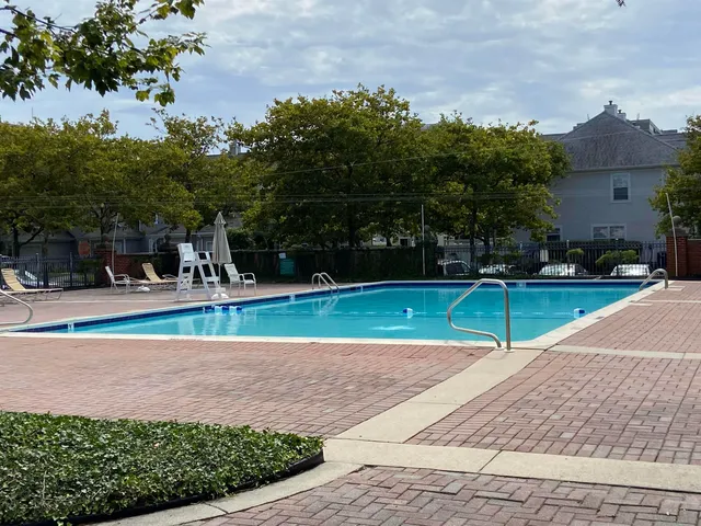 a view of a park with plants and a bench