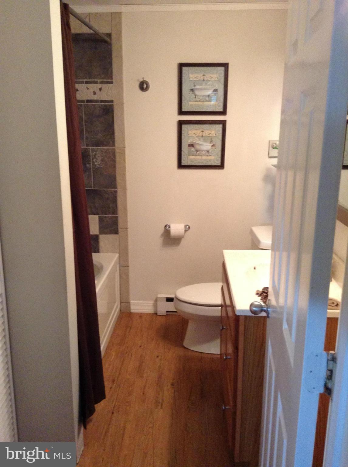 24141 Kings Valley Road Damascus, MD 20872 - Photo 10 of 18 Bath