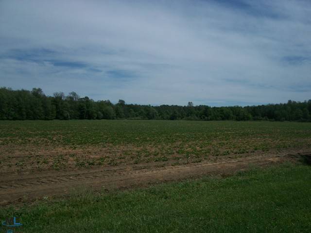 351 Argyle Road Deckerville, MI 48427 - Photo 5 of 9 31104716-4.JPG