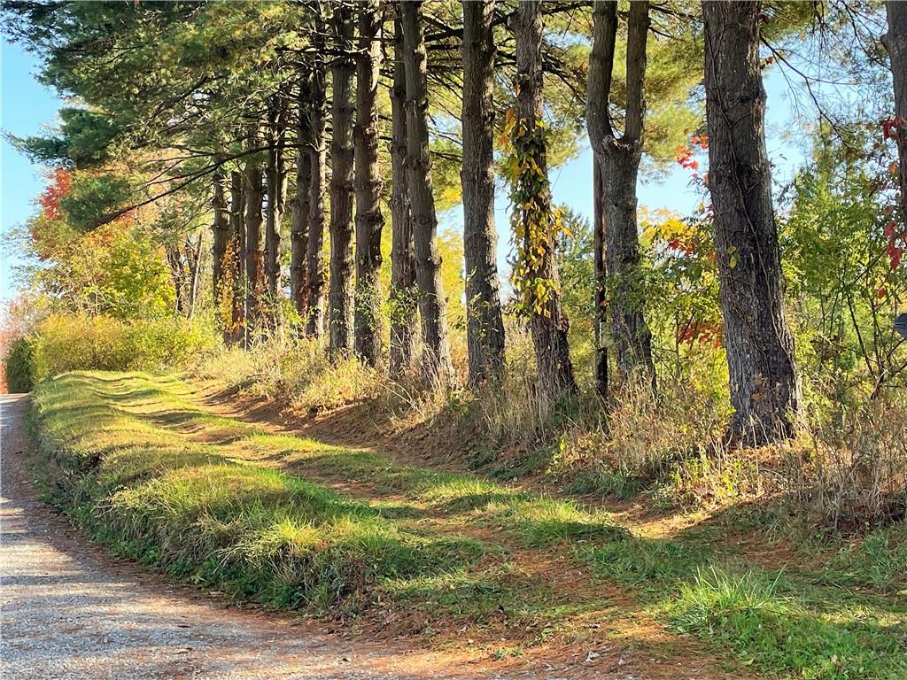 919 Harper Road Crescent, PA 15046 - Photo 3 of 41 a view of yard with trees
