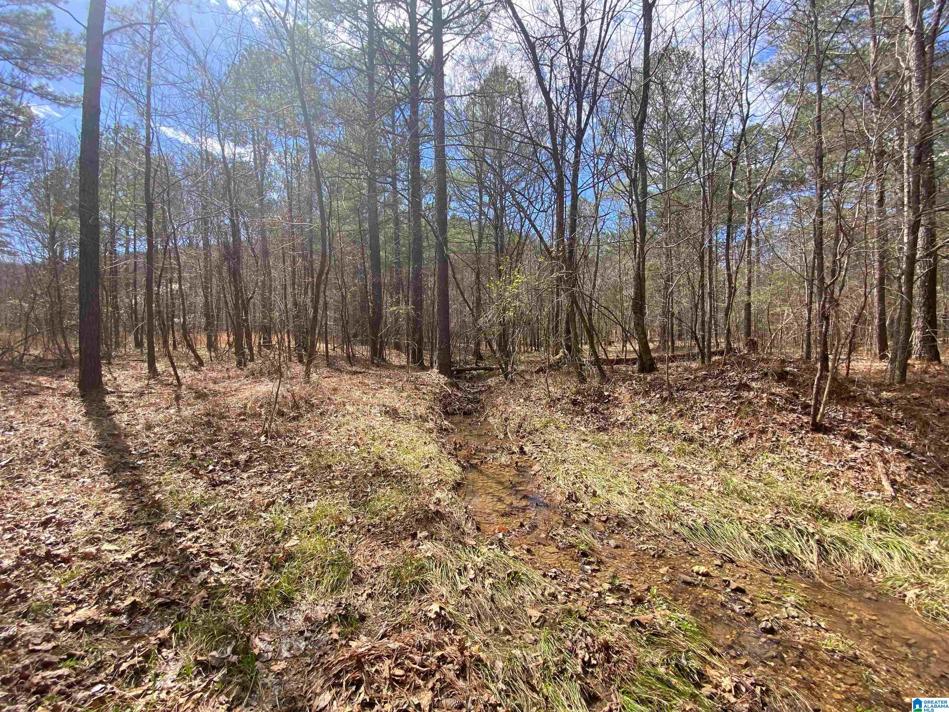 Springs Lane, Unit 12 Springville, AL 35146 - Photo 20 of 26