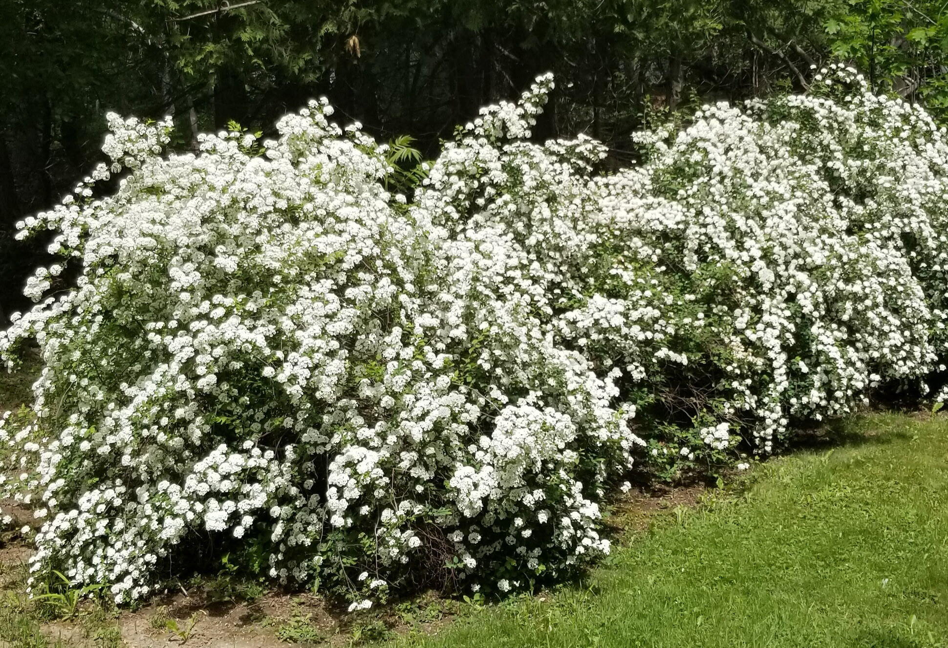 1522 Pushaw Road Glenburn, ME 04401 - Photo 53 of 58 1000001664