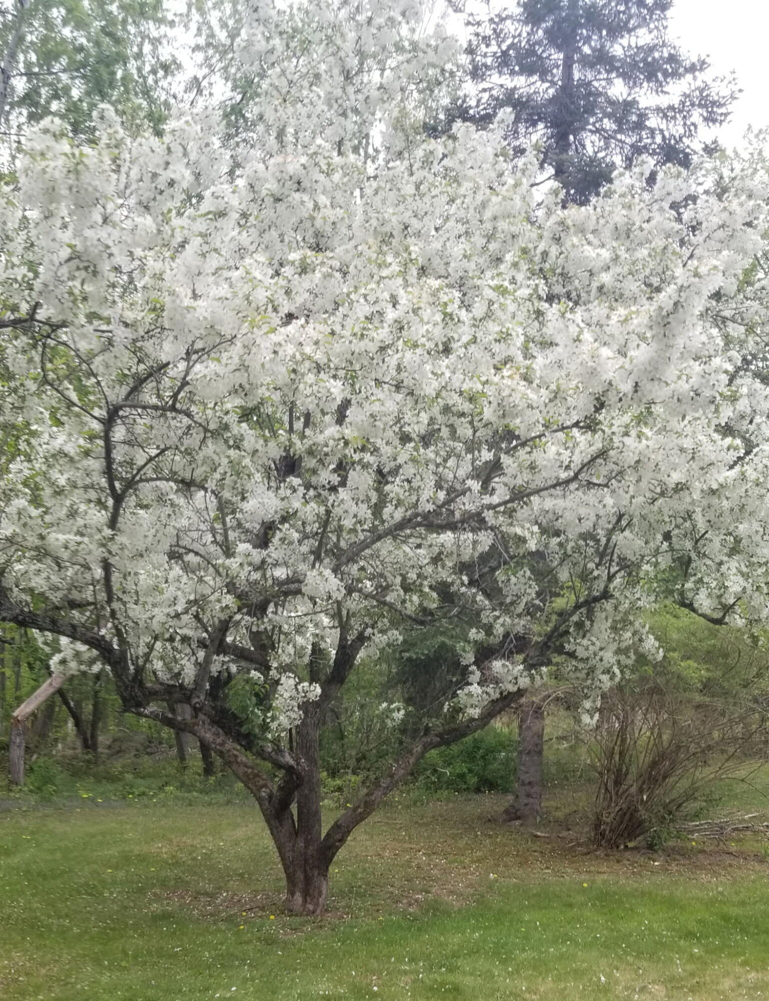 1522 Pushaw Road Glenburn, ME 04401 - Photo 54 of 58 1000002049