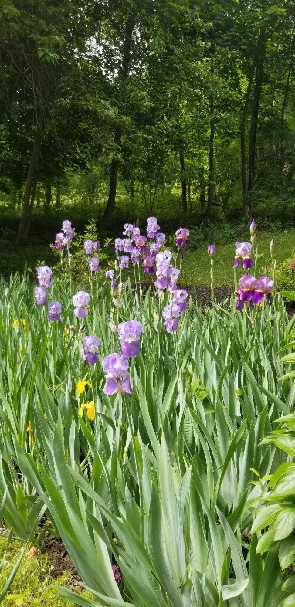 1522 Pushaw Road Glenburn, ME 04401 - Photo 56 of 58 1000001665