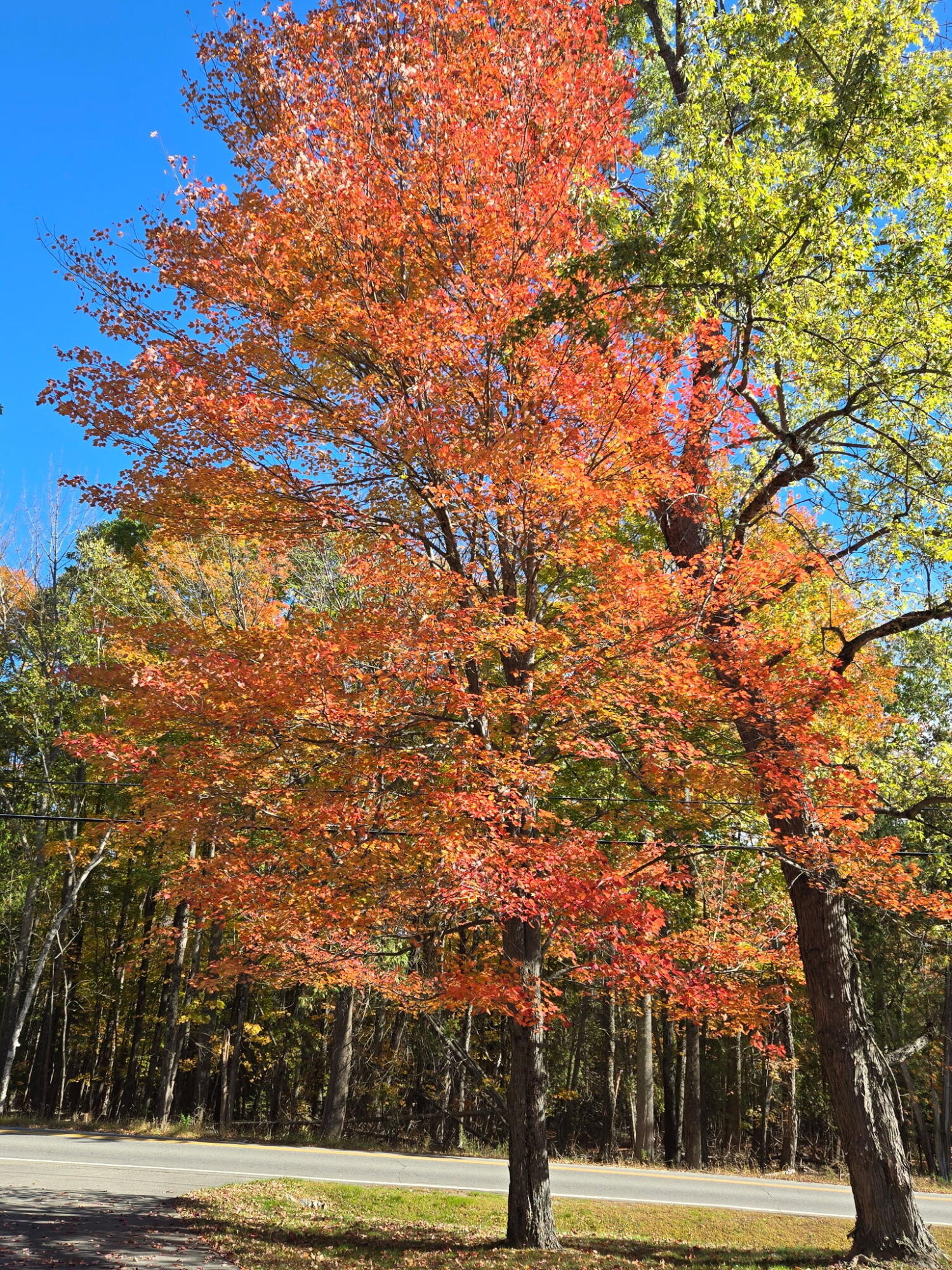 1522 Pushaw Road Glenburn, ME 04401 - Photo 58 of 58 1000012894