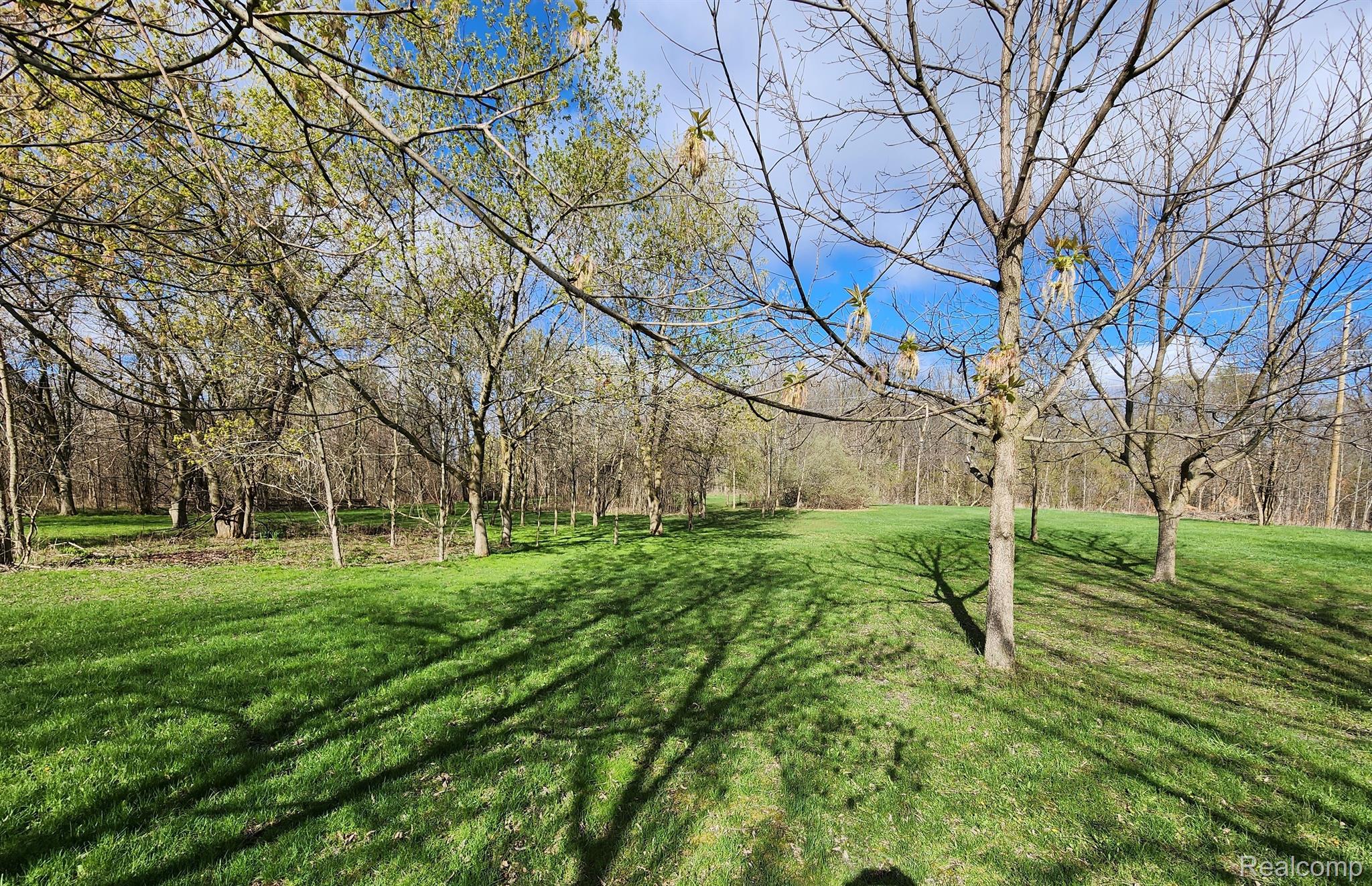425 South Morrice Road Morrice, MI 48857 - Photo 34 of 35