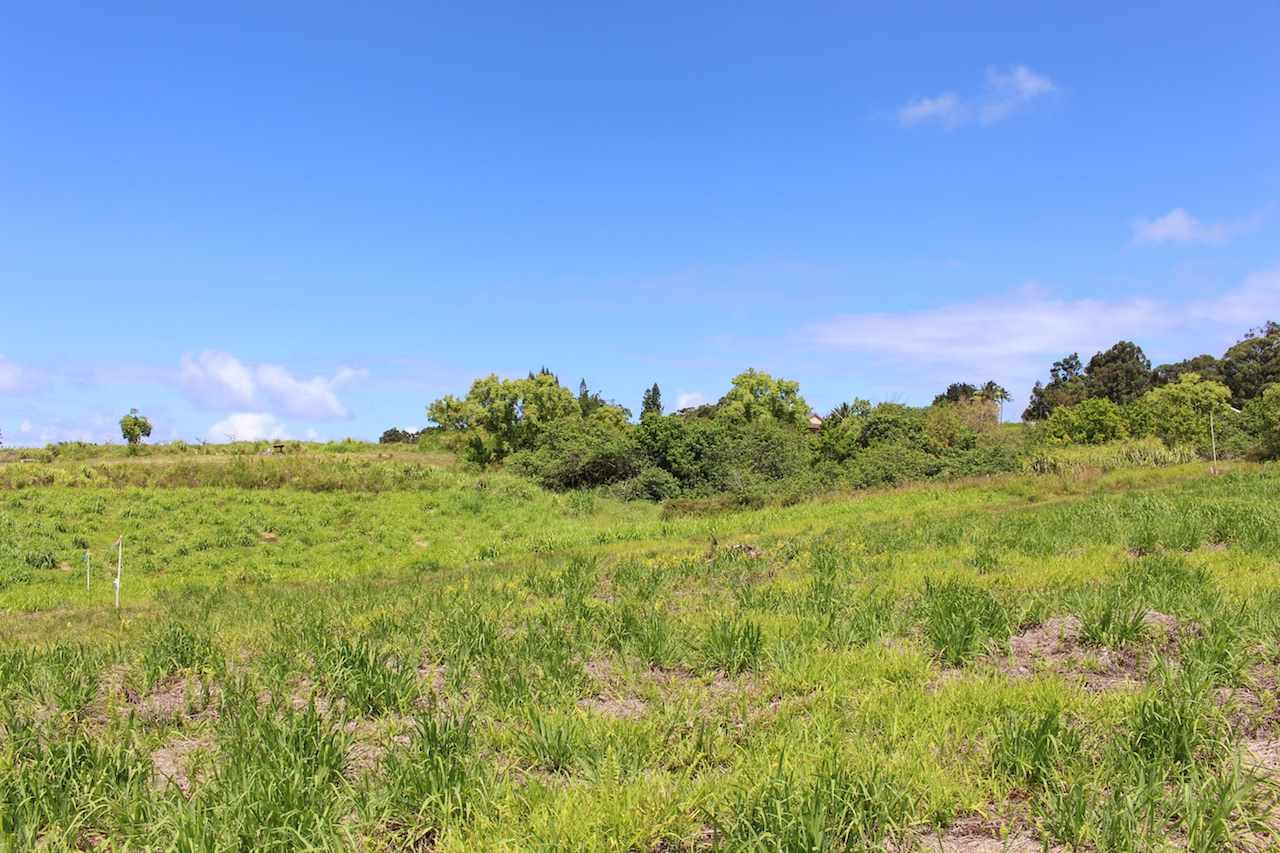 0 Hookili Road, Unit A Haiku, HI 96708 - Photo 5 of 7 a view of a green field