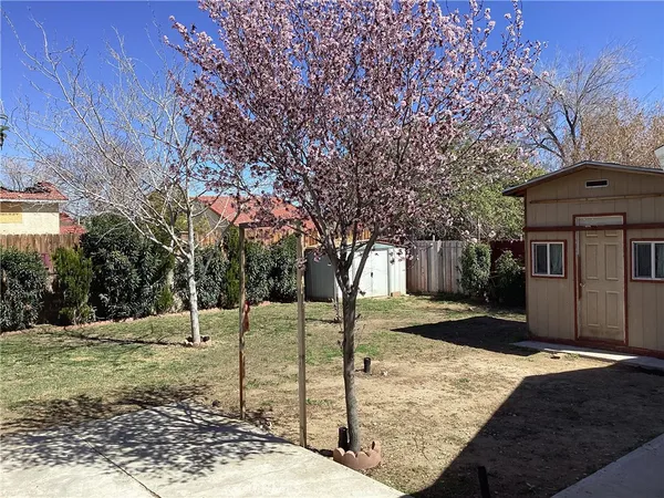 a view of a yard with large tree