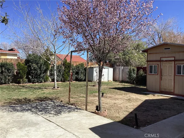 a view of a yard with trees