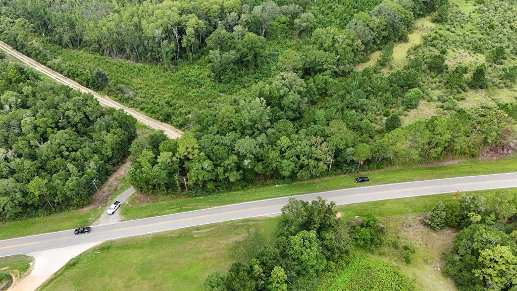 Pate Pond Road Caryville, FL 32427 - Photo 5 of 12 Gallery Image 5