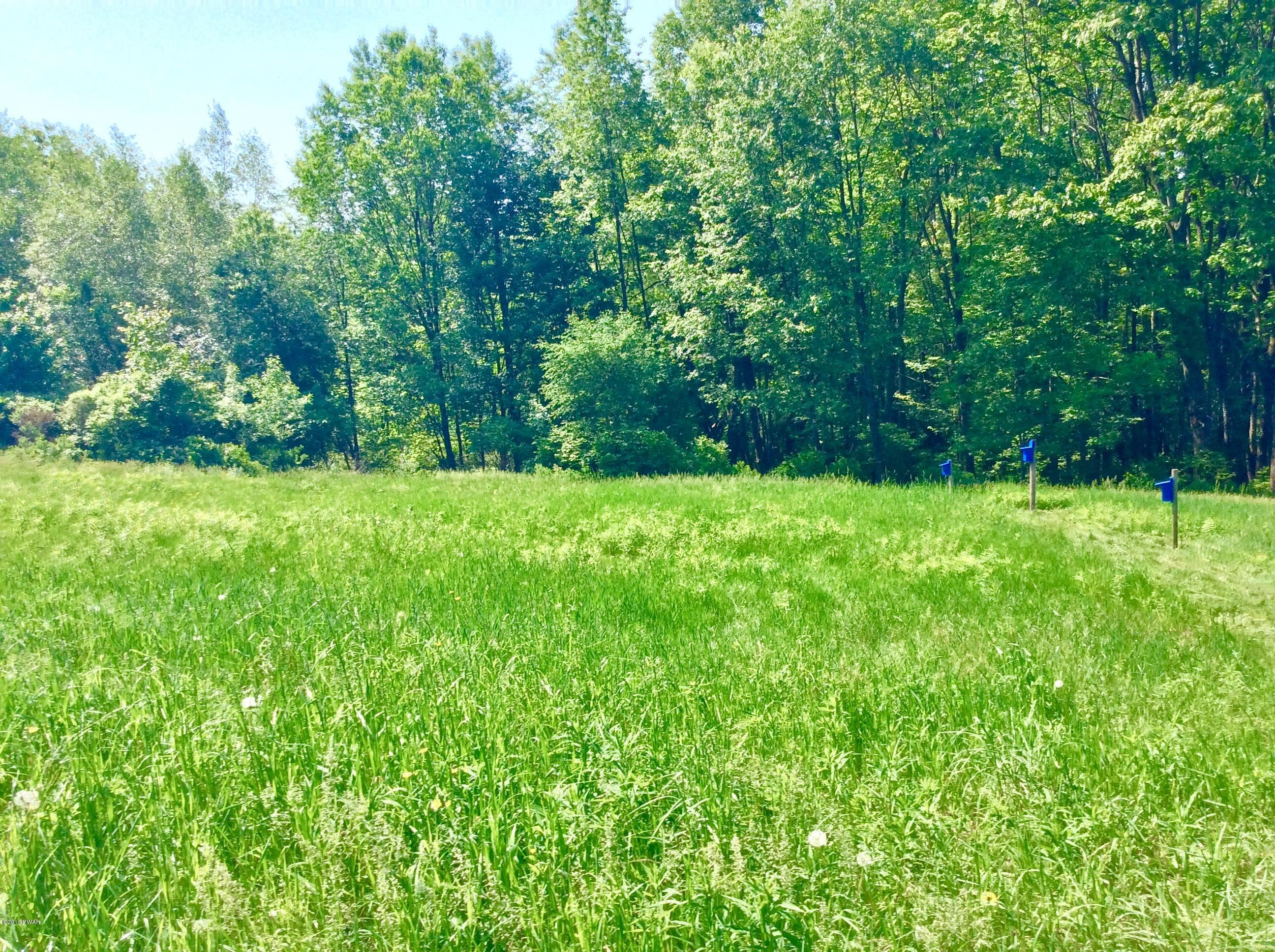 Jubinsky Road Waymart, PA 18472 - Photo 6 of 9