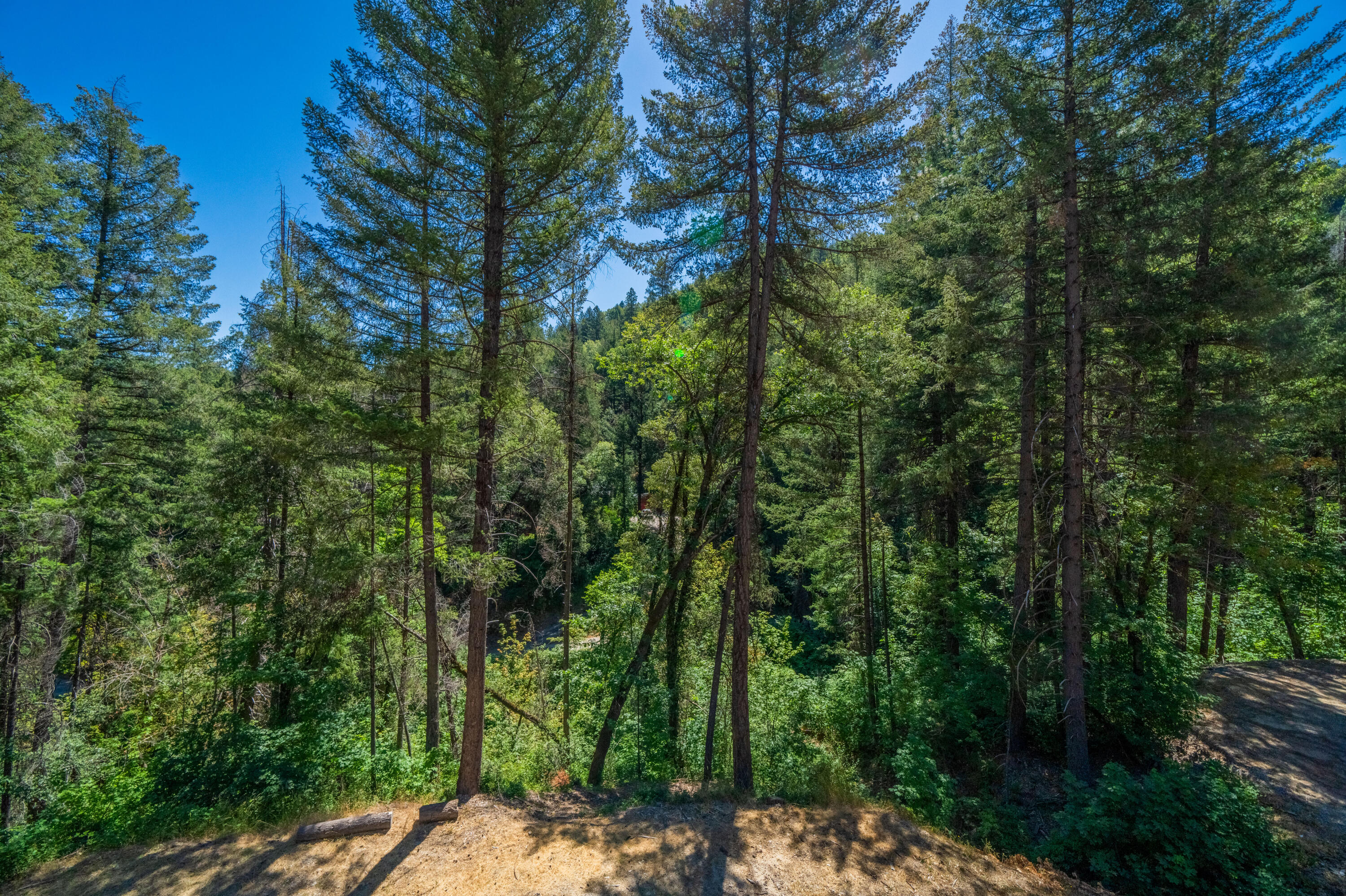 19610 Roaring Brook Way Lakehead, CA 96051 - Photo 40 of 58 a view of a street with a trees