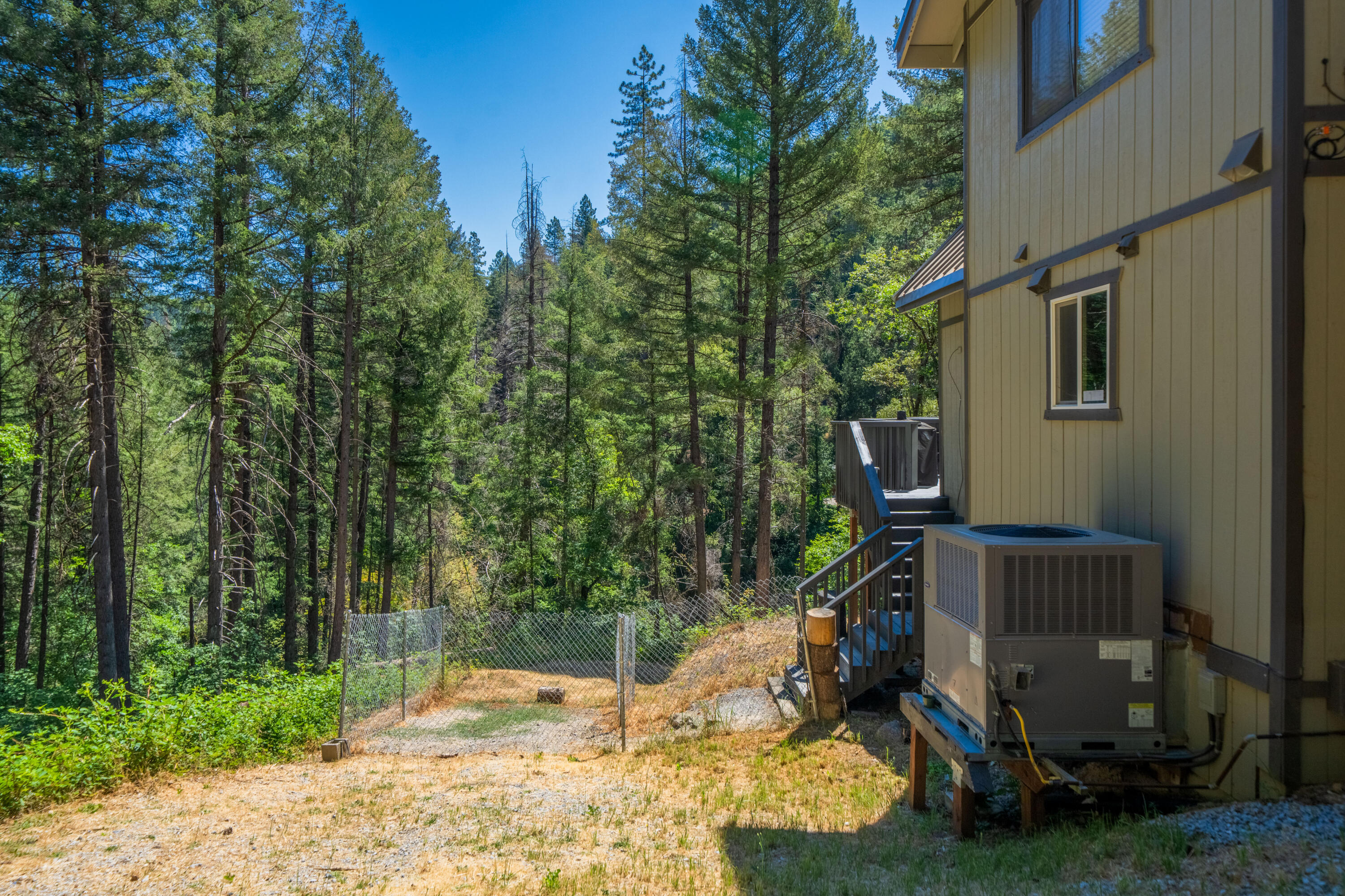 19610 Roaring Brook Way Lakehead, CA 96051 - Photo 45 of 58 a view of a backyard with plants and trees