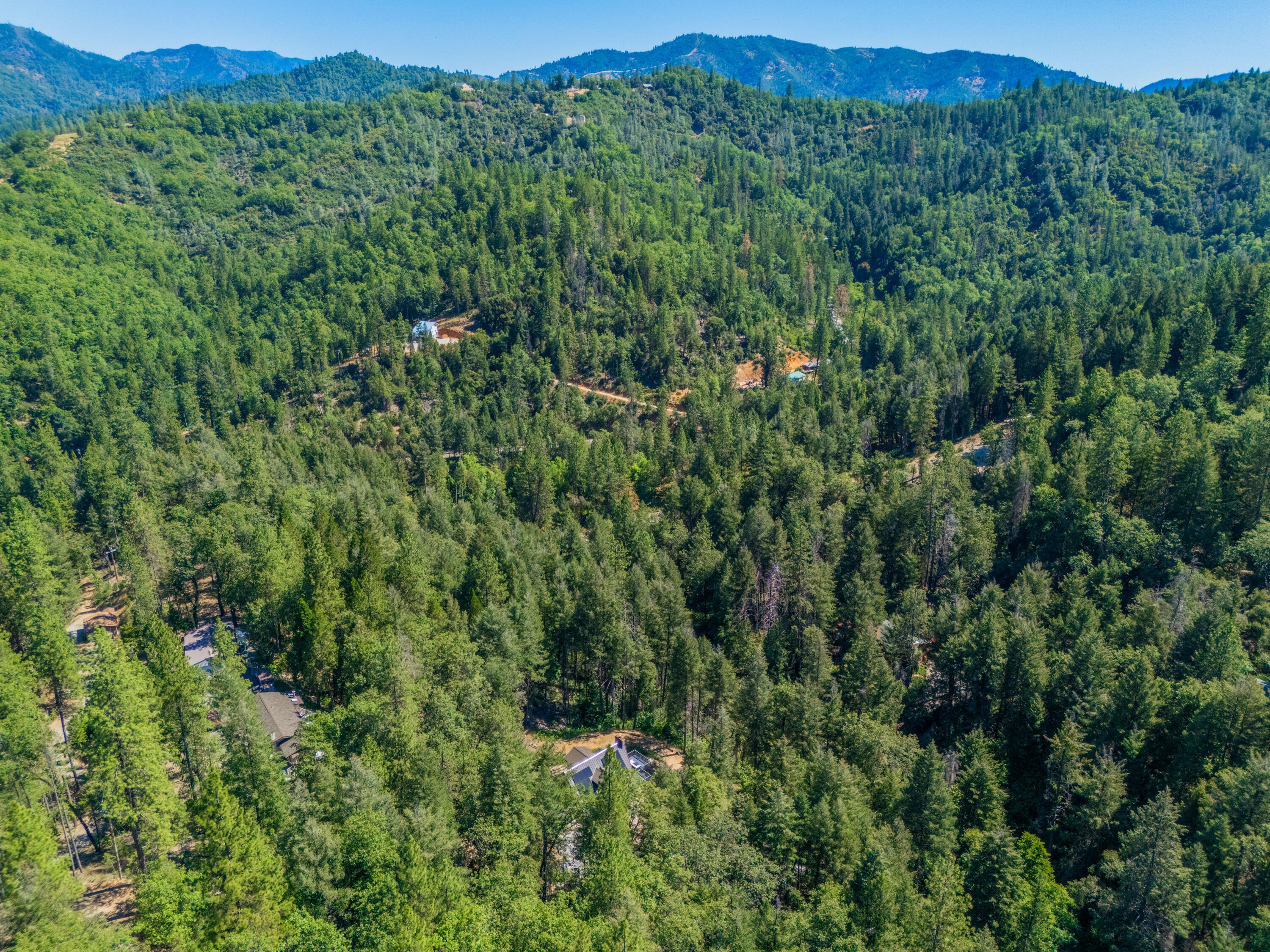 19610 Roaring Brook Way Lakehead, CA 96051 - Photo 54 of 58 a view of a lush green forest with trees in the background