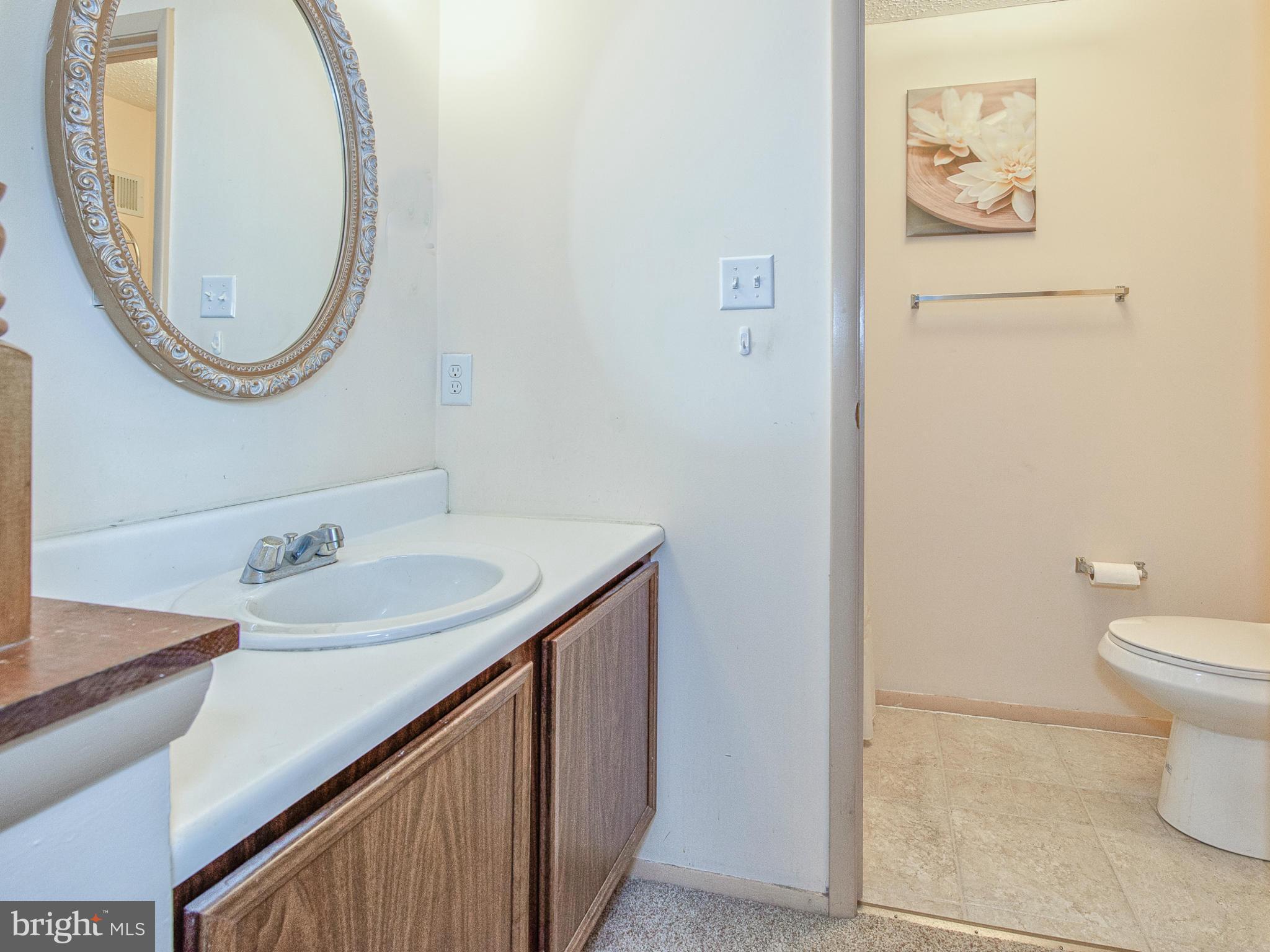 1750 Springfield Lane Frederick, MD 21702 - Photo 20 of 27 Bath (Master)