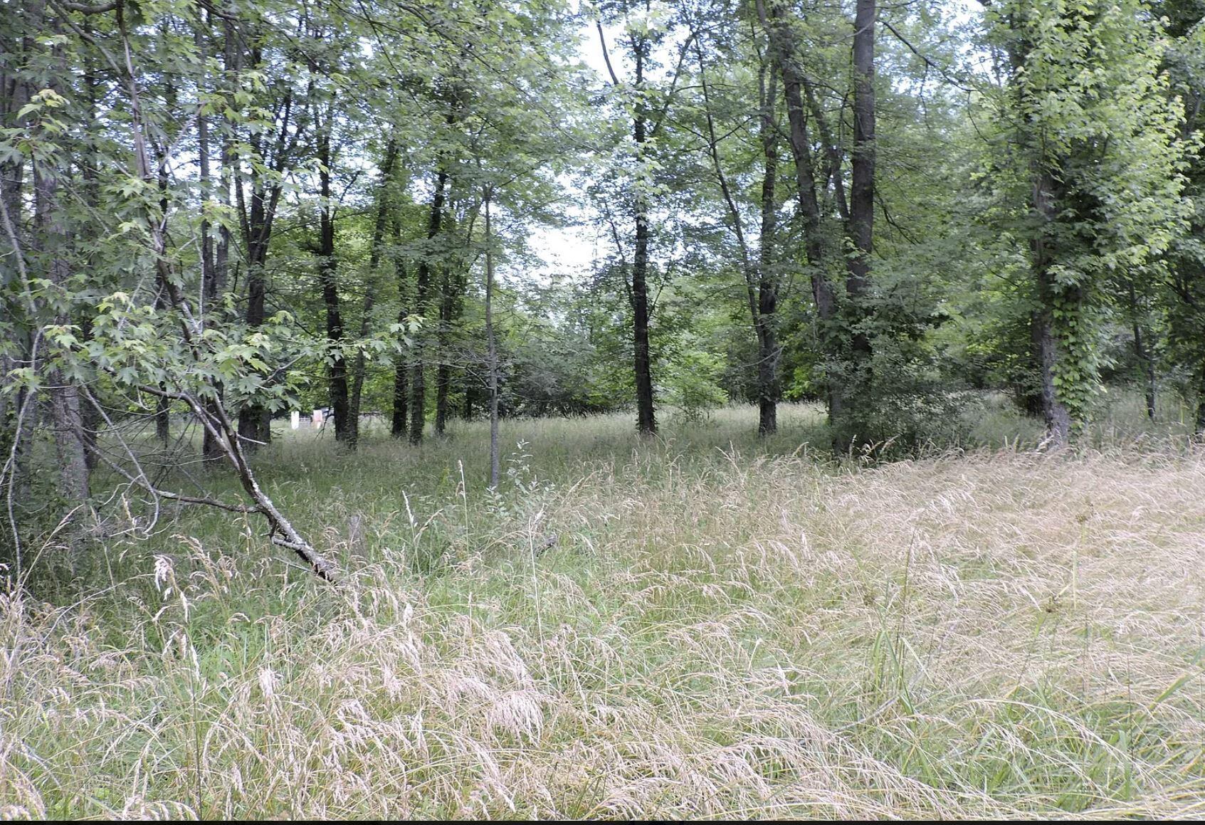 3490 Dixon Road Southwest Pataskala, OH 43062 - Photo 8 of 12 pic1