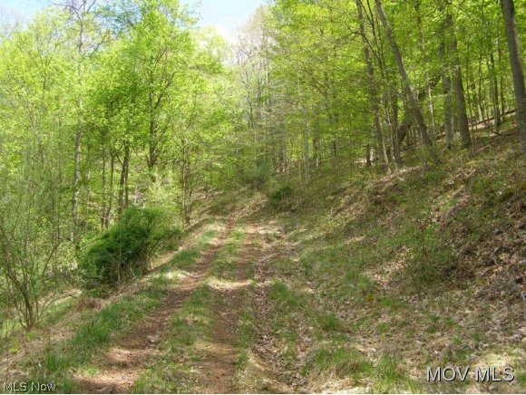 0 Chevauxdefrise Road Harrisville, WV 26362 - Photo 3 of 6 Gallery Image 3