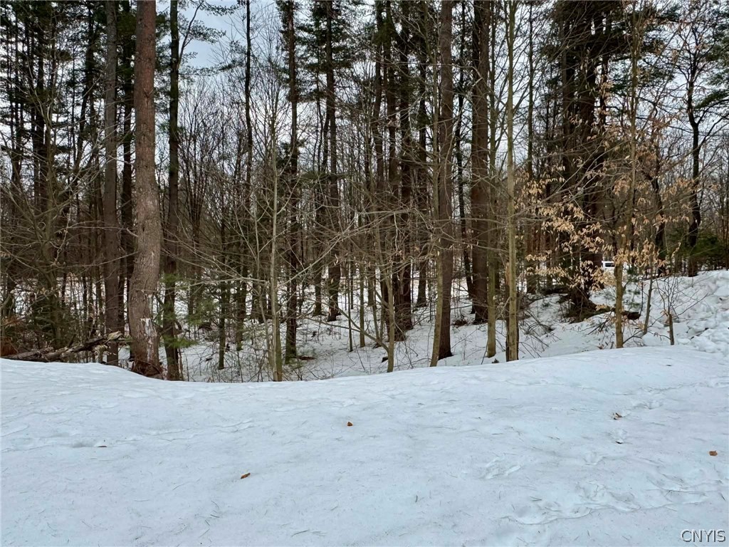 9249 Elpis Road Vienna, NY 13316 - Photo 12 of 16