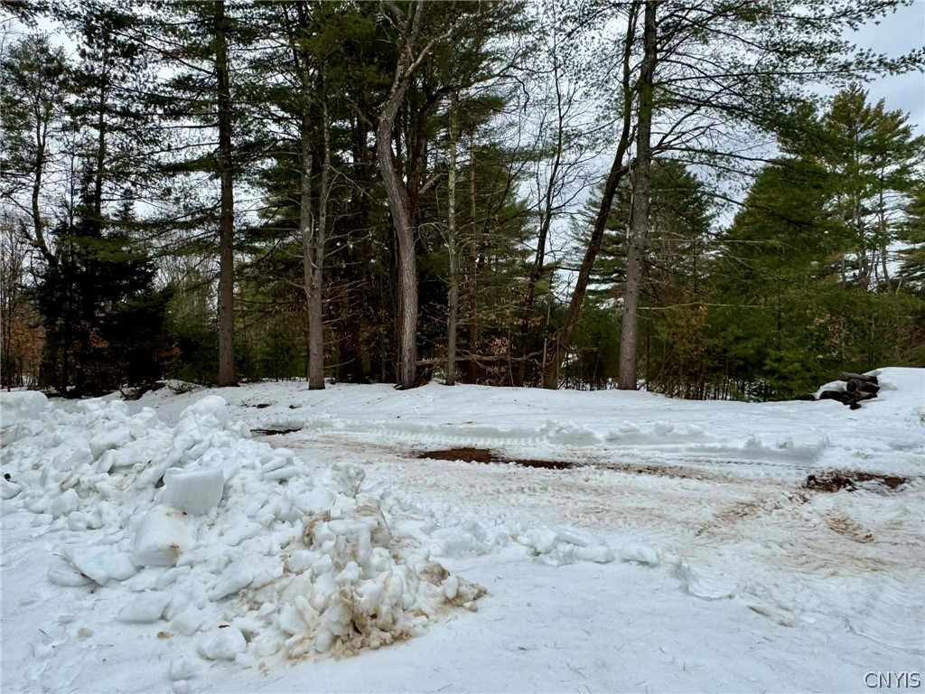 9249 Elpis Road Vienna, NY 13316 - Photo 13 of 16