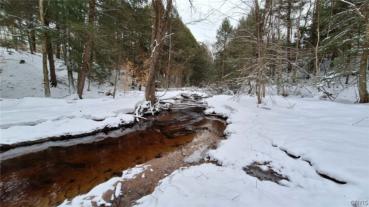9249 Elpis Road Vienna, NY 13316 - Photo 3 of 16