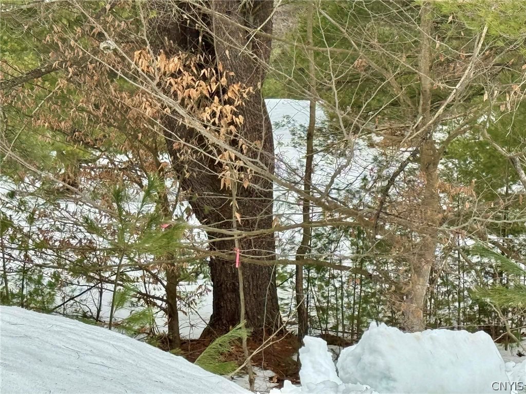 9249 Elpis Road Vienna, NY 13316 - Photo 8 of 16 Survey tape to the left of the pole barn