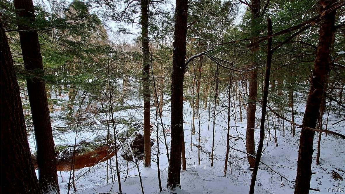 9249 Elpis Road Vienna, NY 13316 - Photo 9 of 16