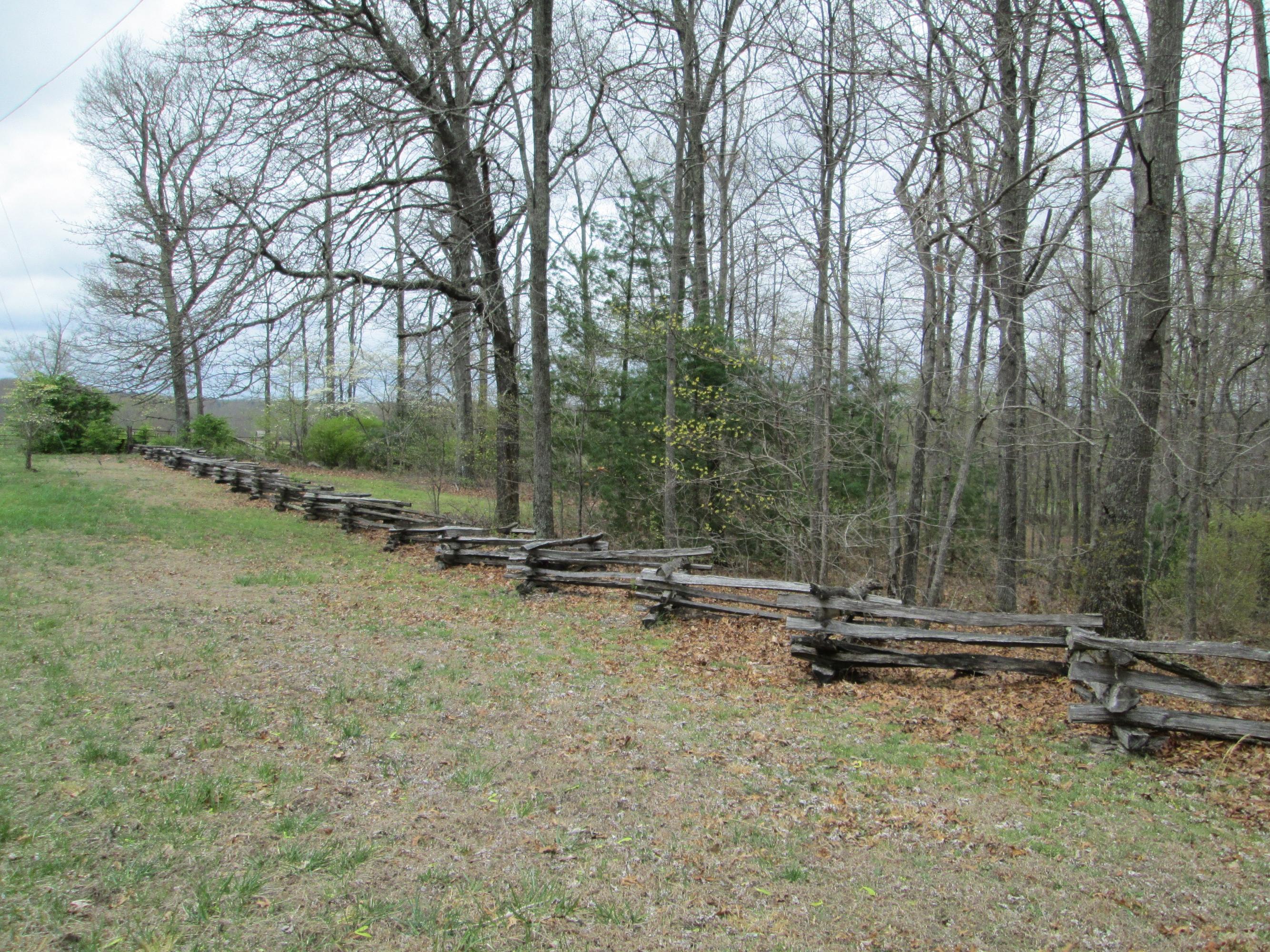 1961 Pigeon Ridge Road Crossville, TN 38555 - Photo 3 of 29 IMG_0416