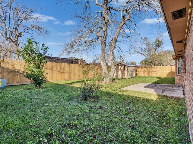a view of backyard with tree