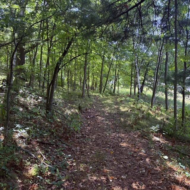 Tbd West Lilja Avenue Shell Lake, WI 54871 - Photo 13 of 23 Gallery Image 13