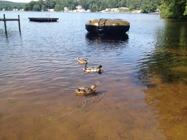16 Leno Road Holland, MA 01521 - Photo 26 of 30 a picture of a lake view