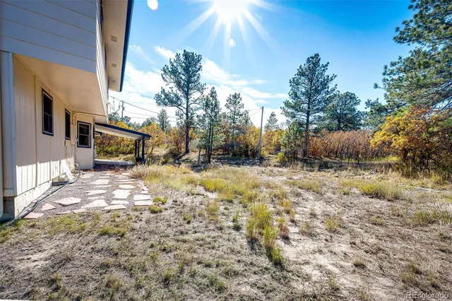 a view of a house with backyard and tree