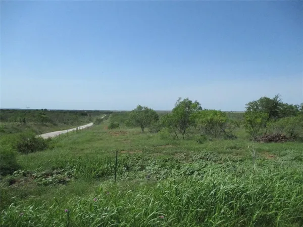 a view of a lush green space with sea