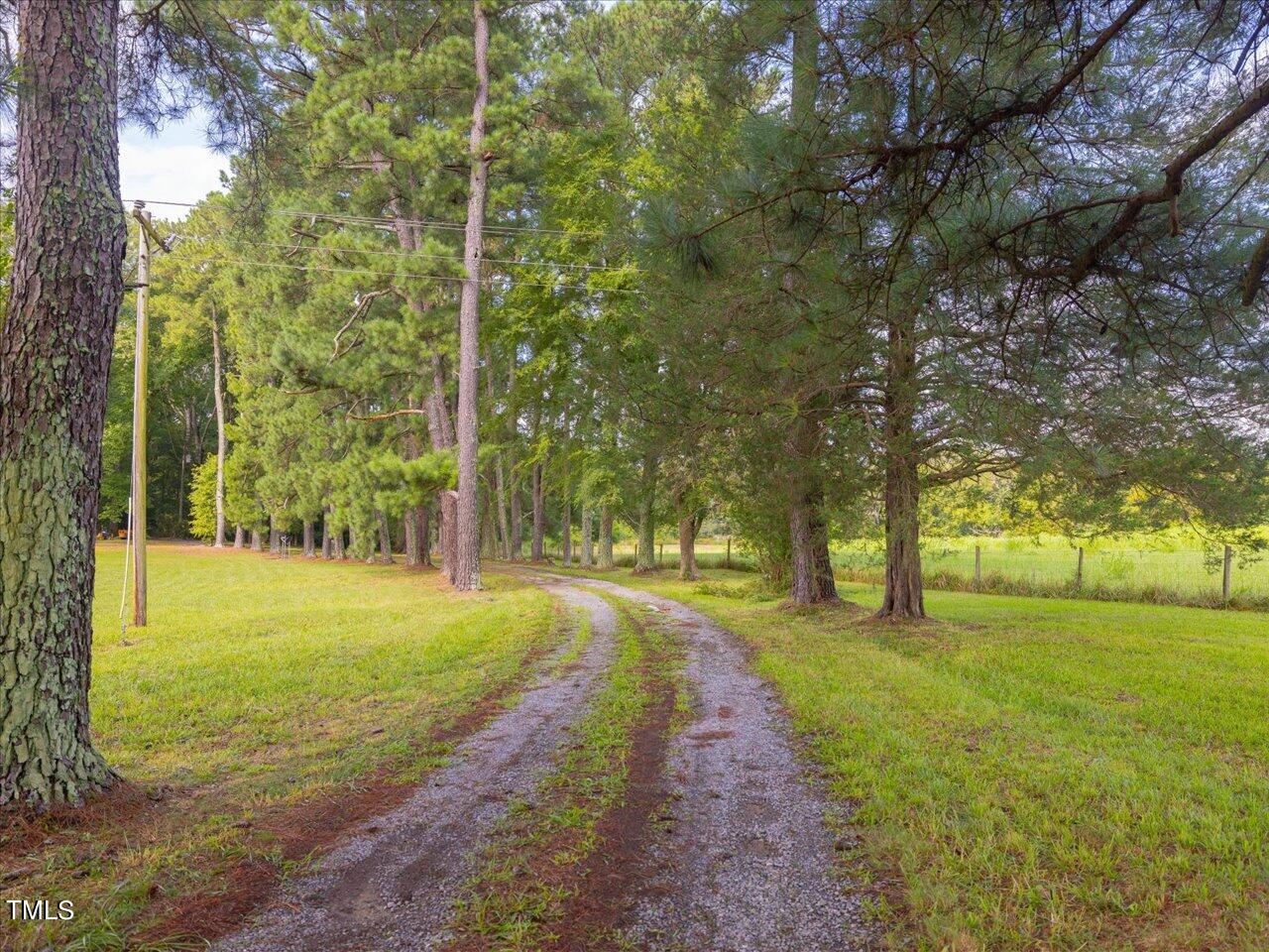 389 Dewitt Smith Road Pittsboro, NC 27312 - Photo 34 of 39 Tree lined drive.