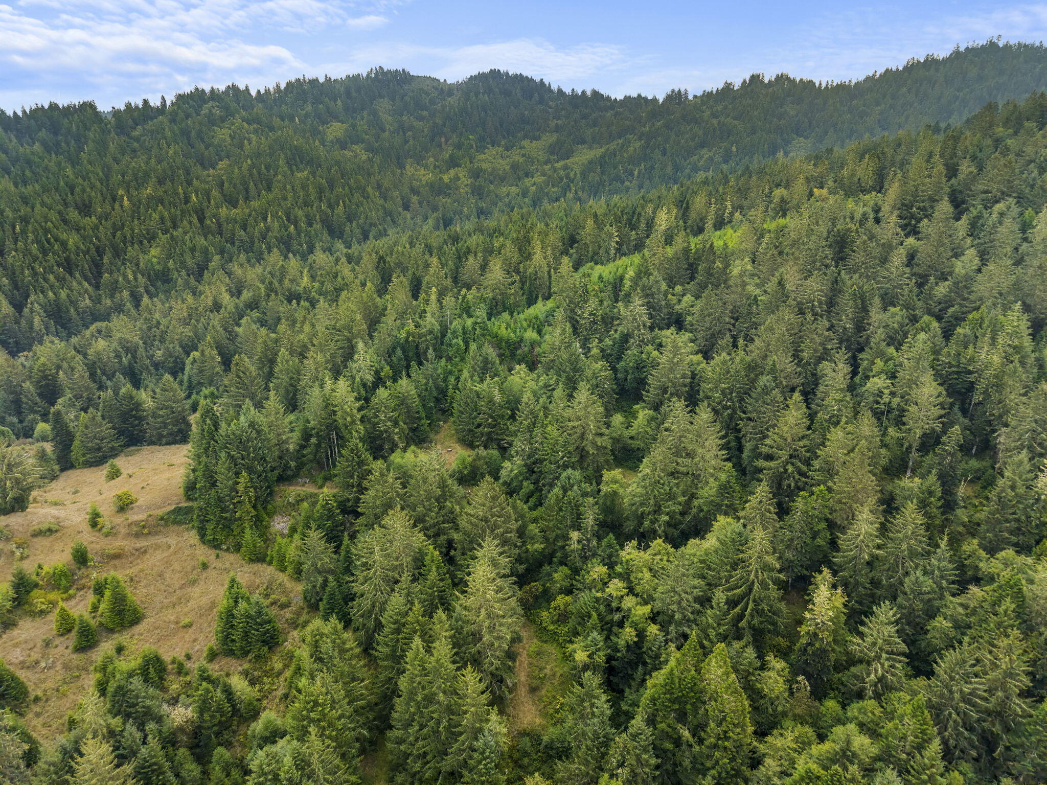 0 Williams Creek Road Ferndale, CA 95536 - Photo 12 of 13