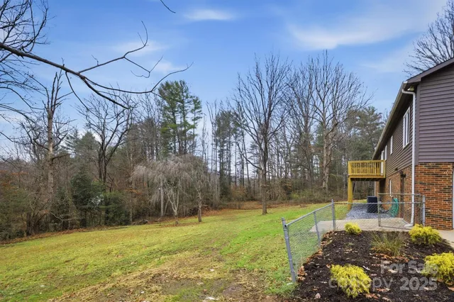 a view of a yard with plants and trees