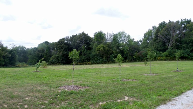 1945 Fox Lake Road Angola, IN 46703 - Photo 28 of 36