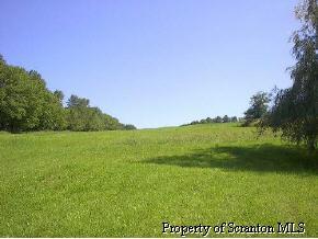 48 Franklin Hill Road Hallstead, PA 18822 - Photo 3 of 6 a view of an ocean from a yard
