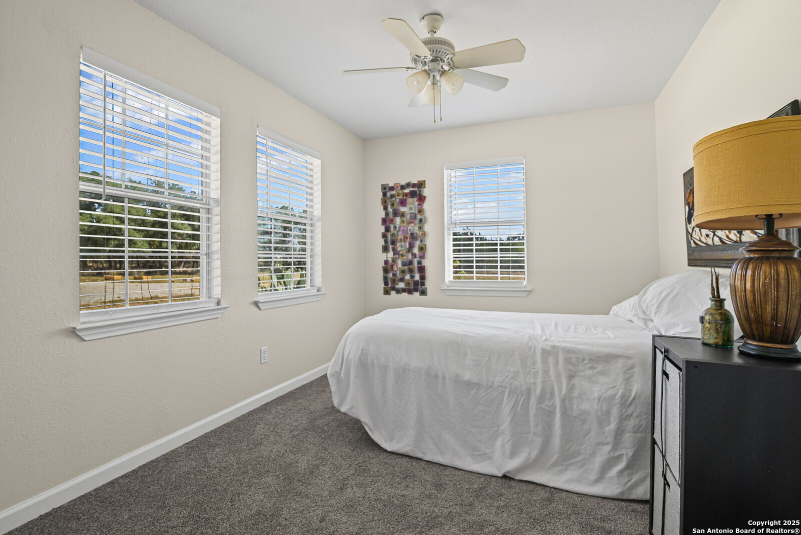 524 Rangeland Road Blanco, TX 78606 - Photo 18 of 34