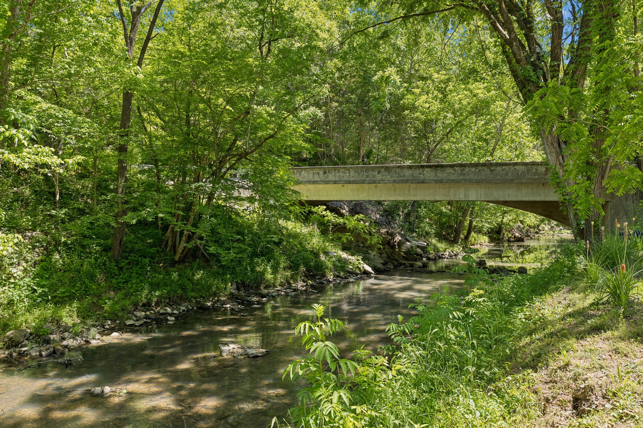 0 Bone Cave Road Rock Island, TN 38581 - Photo 28 of 31