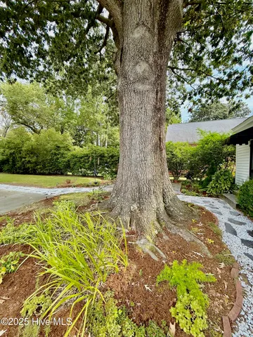 $325,000 | 3340 North Green Street, Farmville, NC 27828