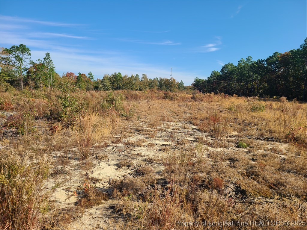 74 Interchange Hamlet Nc 28345 Rockingham, NC 28379 - Photo 4 of 4 a view of lake with green space