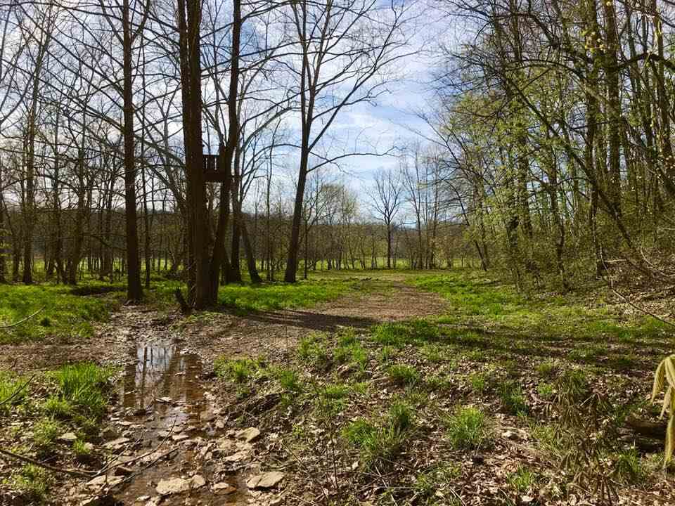3131 Old Buddha Road Bedford, IN 47421 - Photo 3 of 36