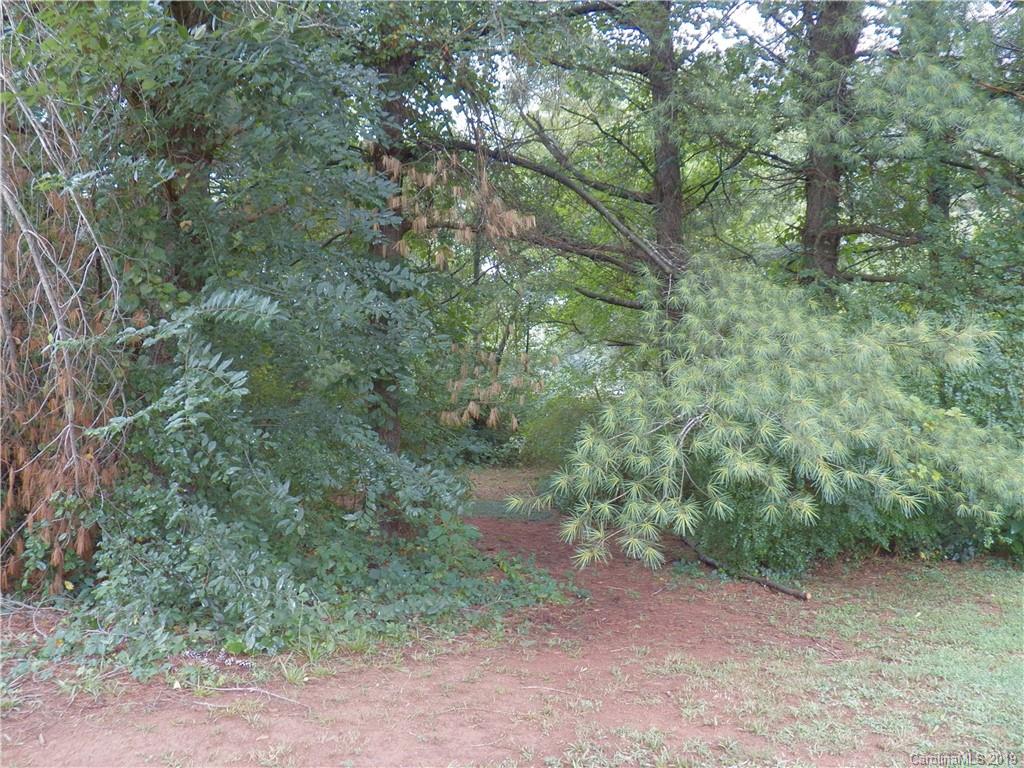 2545 Swanson Road Crouse, NC 28033 - Photo 3 of 14 a view of a forest with trees in the background
