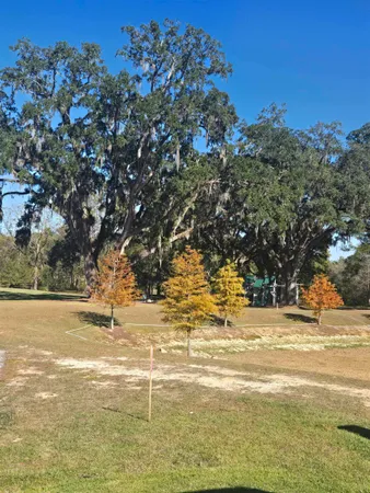 $2,900 | 5684 Native Oak Drive, Tallahassee, FL 32317