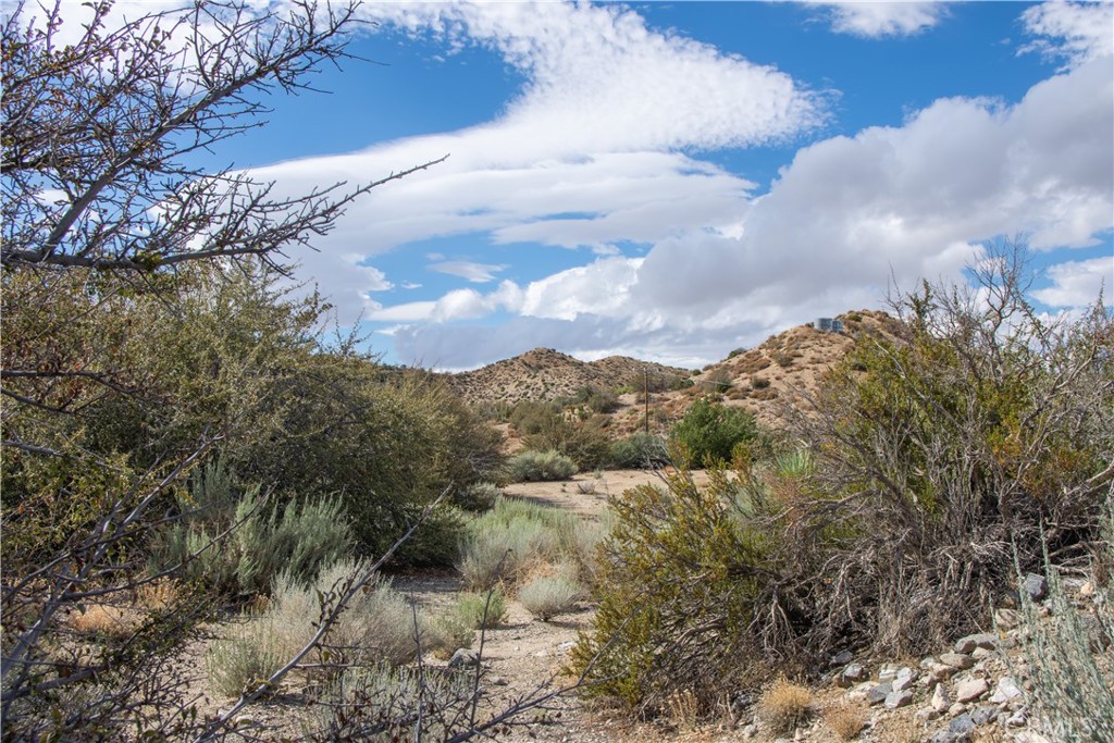 8160 Green Road Pinon Hills, CA 92372 - Photo 7 of 11 a view of a yard