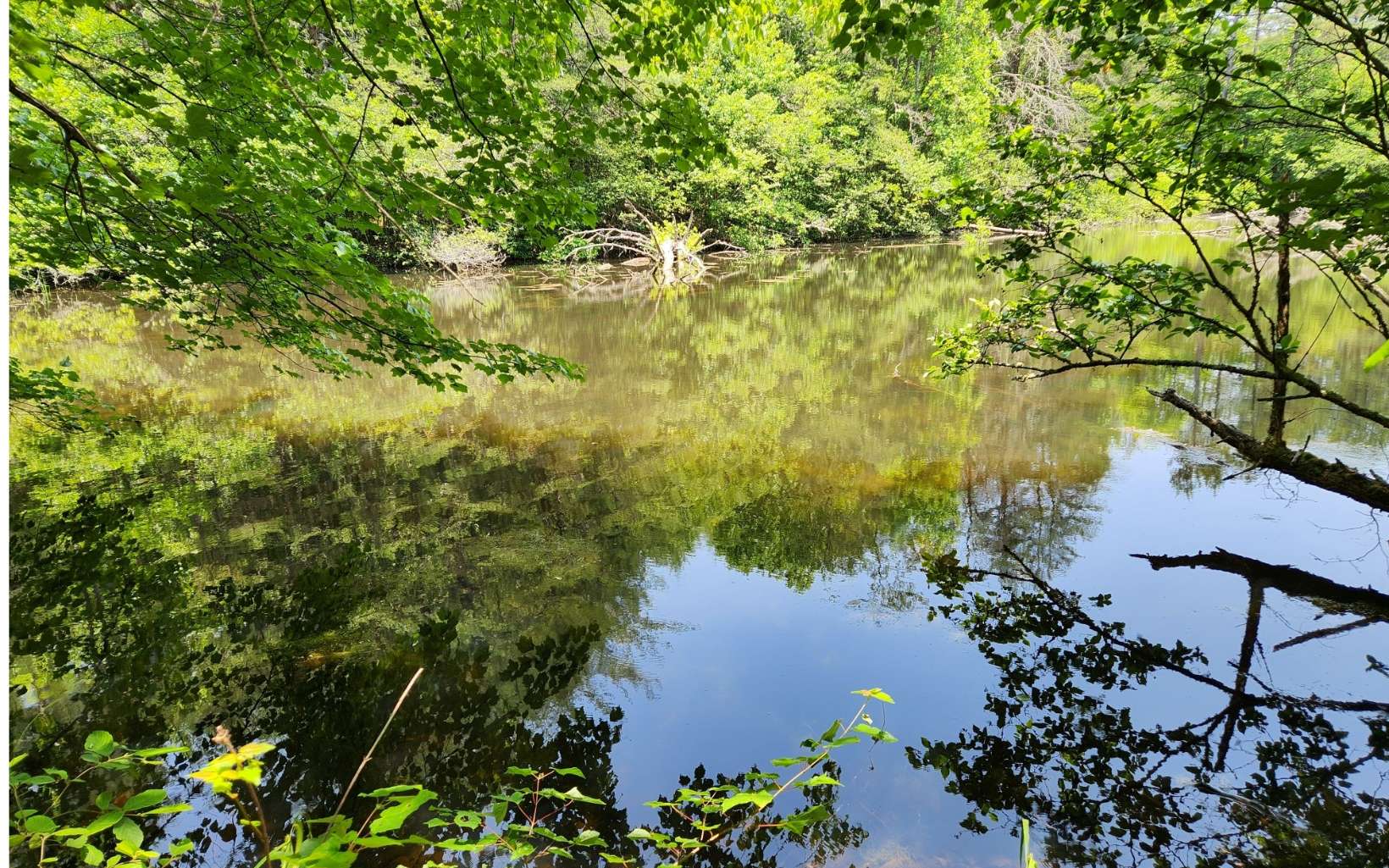 0 Dotson Road Murphy, NC 28906 - Photo 3 of 5 Additional View