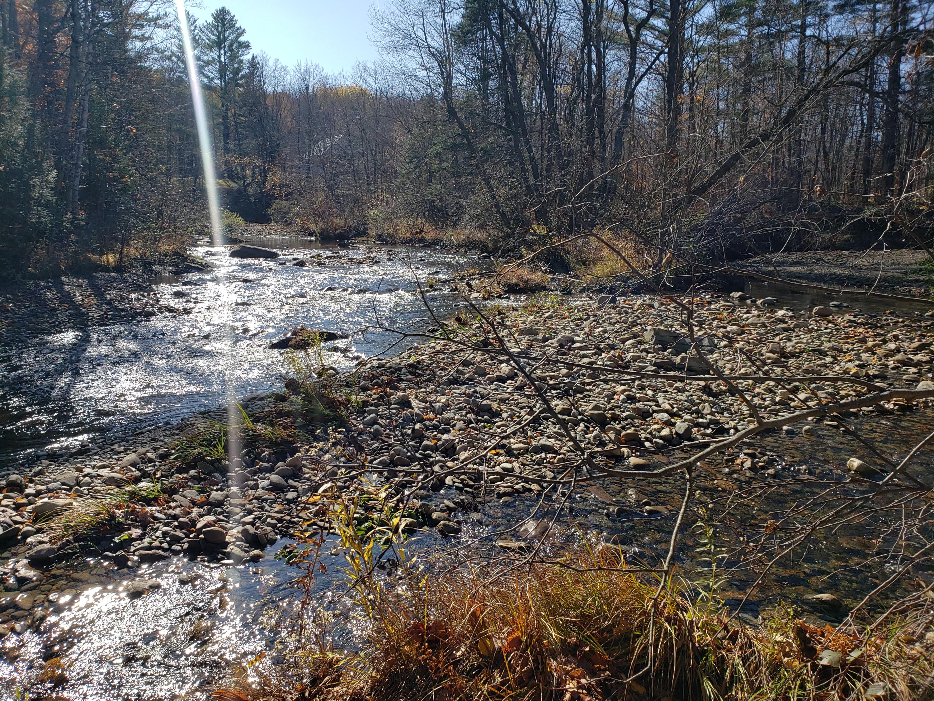 0 Beech Hill Road Rangeley, ME 04970 - Photo 3 of 15 20191021_122522