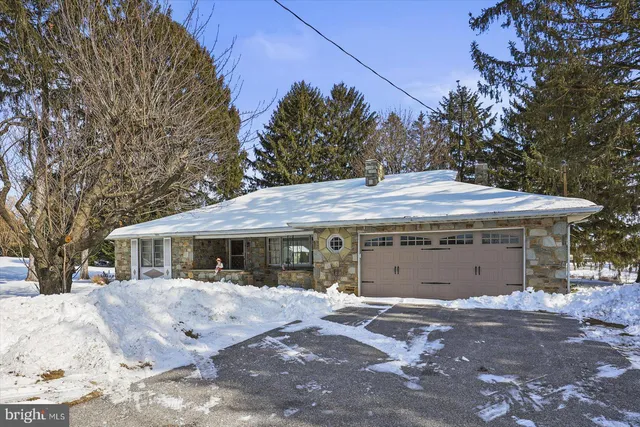 a view of a house with a yard and large tree