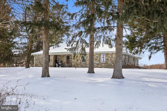 a house with a tree in front of it